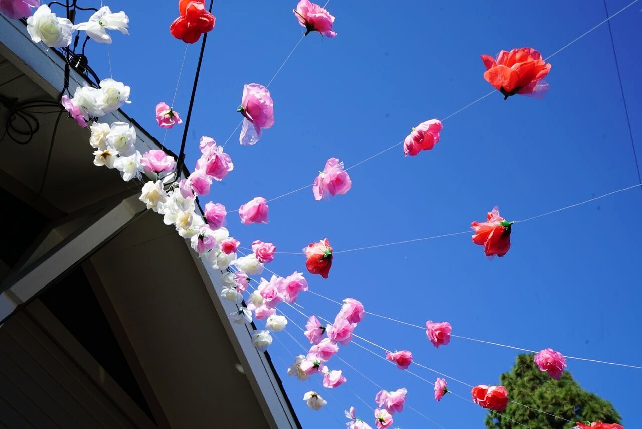 🌹 평화의 장미원(헤이와노바라엔) 이미지 8